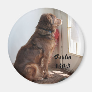 Psalm-130:5 Hundefenster-Magnet Magnet