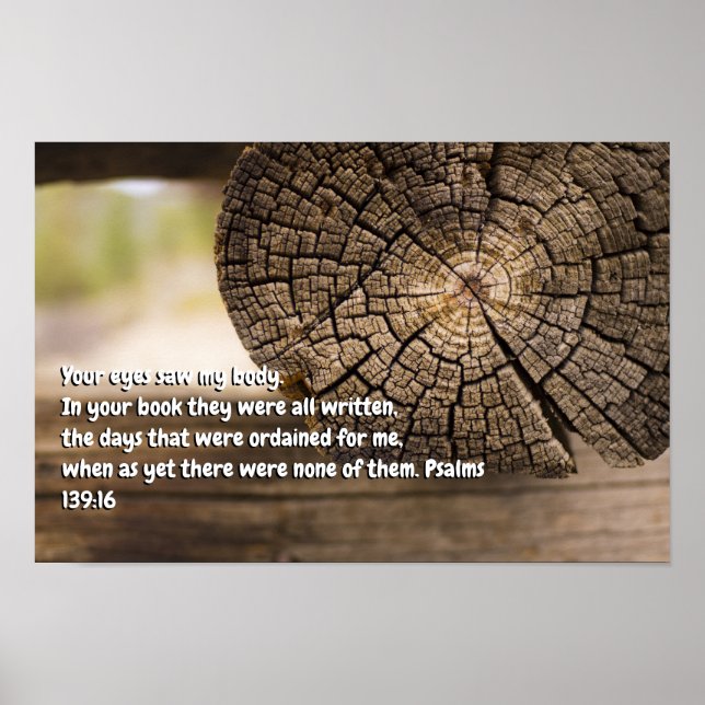 Psalm 139:16 poster (Vorne)