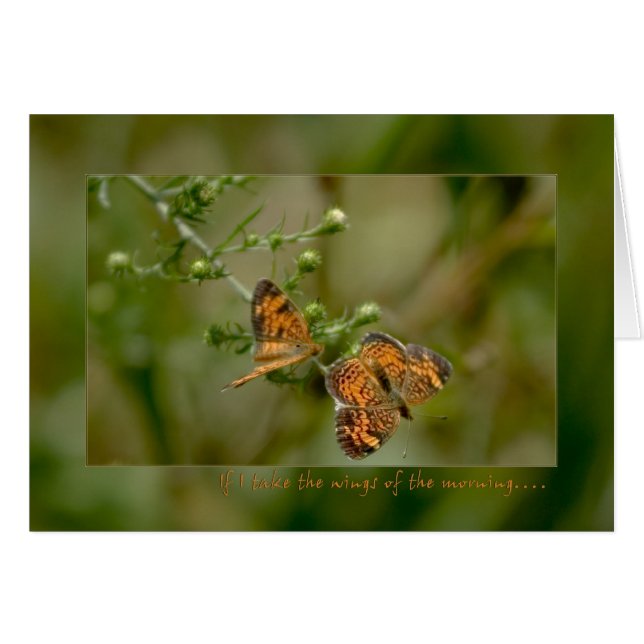 Psalm 139:9 -10 Wenn ich auf den Flügeln des Morge (Vorderseite (Horizontal))