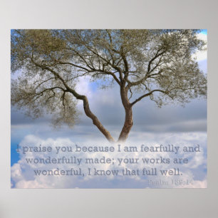 Psalm 139: Ich bin furchtbar und wunderbar erschaf Poster