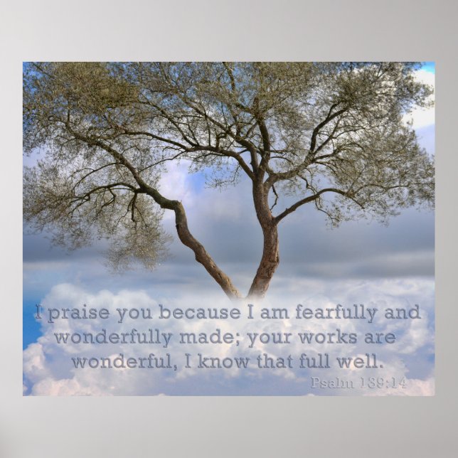 Psalm 139: Ich bin furchtbar und wunderbar erschaf Poster (Vorne)