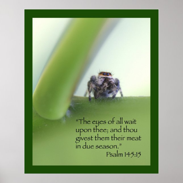 Psalm 145:15 Schrift-Poster Poster (Vorne)