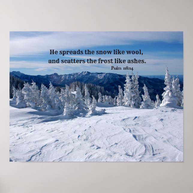 Psalm 147:16 He spreads the snow... Poster (Vorne)