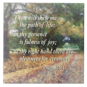 Psalm 16:11 Du wirst mir den Weg zeigen Fliese