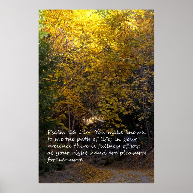 Psalm 16:11 Pfad Poster (Vorne)
