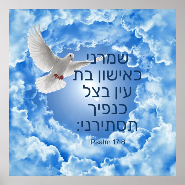Psalm 17:8 poster (Vorne)
