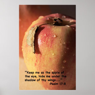 Psalm 17:8 Scripture Print Poster