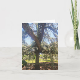 Psalm 1:1-3 Blank Card Karte