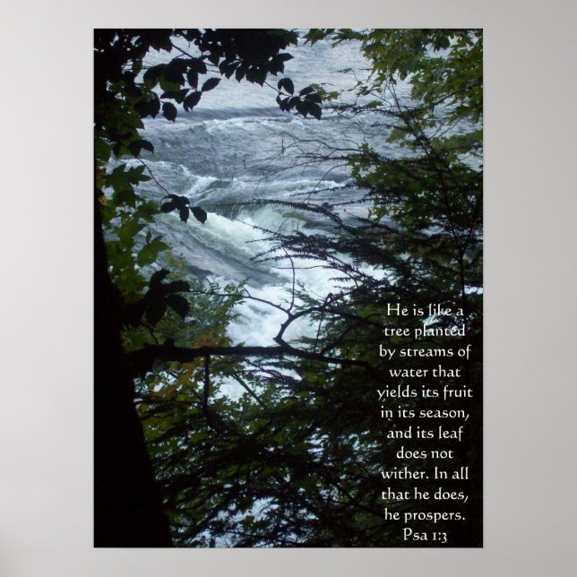 Psalm 1:3 poster (Vorne)