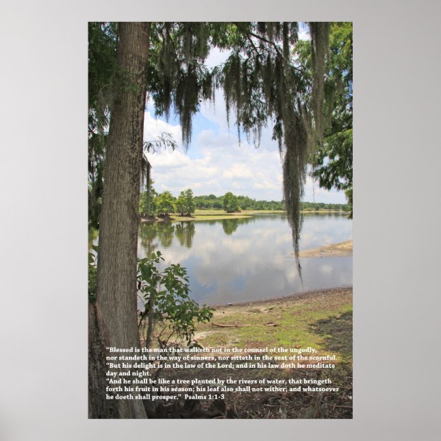 Psalm 1 Scripture Poster, Version B Poster (Vorne)