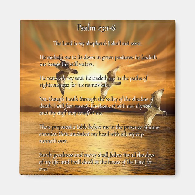 Psalm 23:1-6 Der Herr ist mein Schäfer Magnet (Vorne)