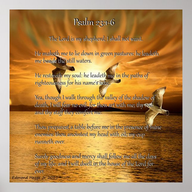 Psalm 23:1-6 Der Herr ist mein Schäfer Poster (Vorne)