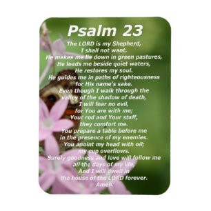 Psalm 23 (4) magnet