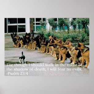 Psalm 23:4 poster