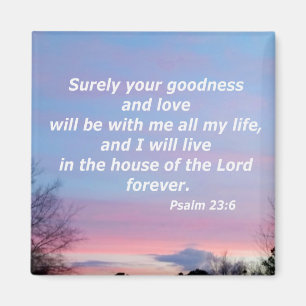 Psalm 23:6 magnet