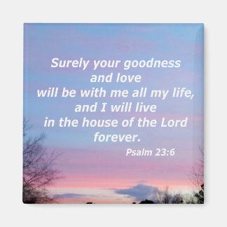 Psalm 23:6 magnet
