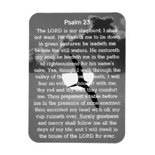 Psalm 23 Monochrome Sunset Seagull Magnet
