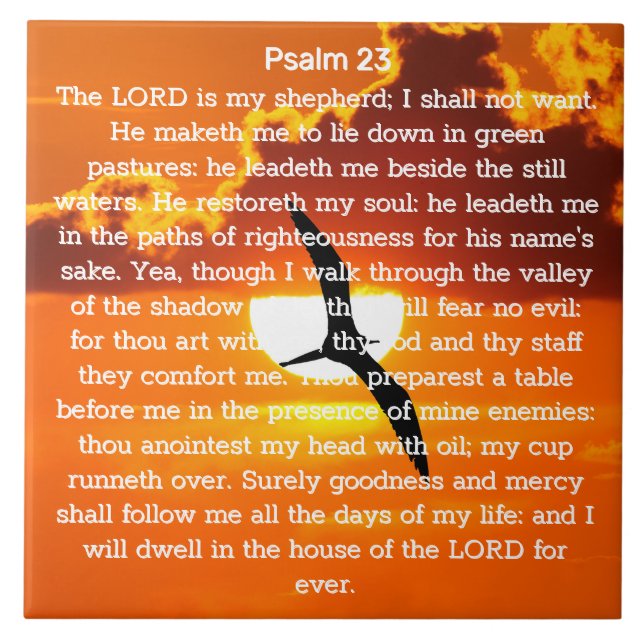 Psalm 23 Orange Sunset Seagull Fliese (Vorderseite)
