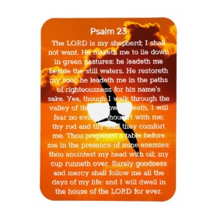 Psalm 23 Orange Sunset Seagull Magnet