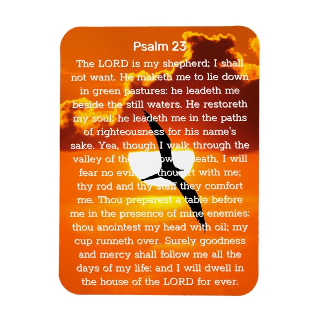 Psalm 23 Orange Sunset Seagull Magnet (Vertikal)