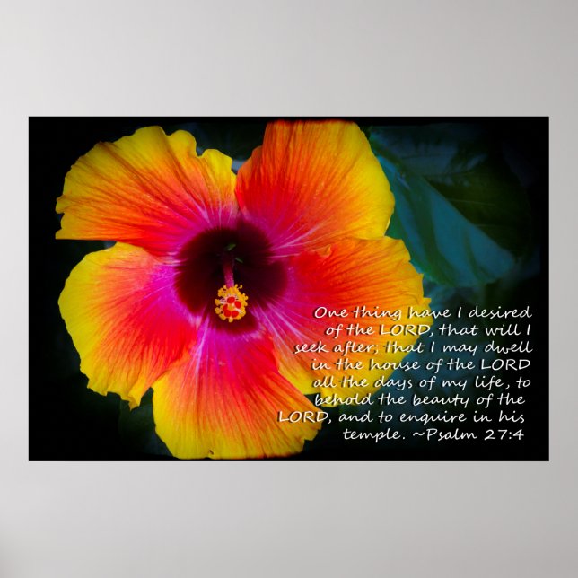 Psalm 27:4 Hibiskus auf schwarz Poster (Vorne)