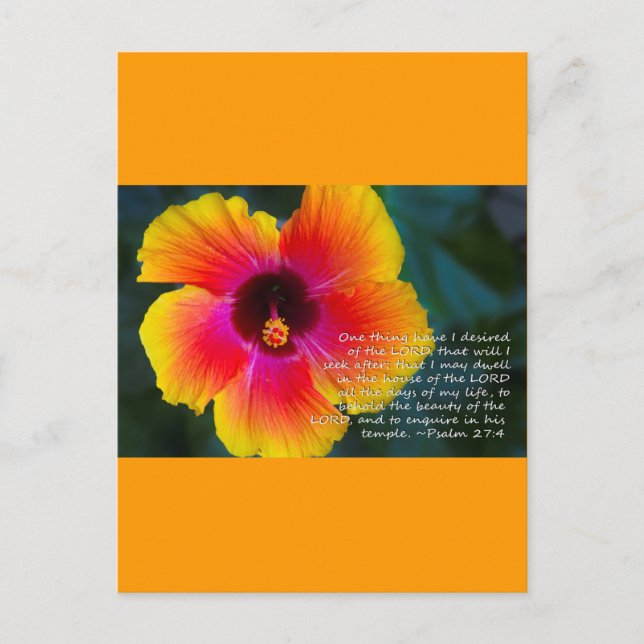 Psalm 27:4 postkarte (Vorderseite)