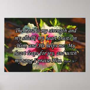 Psalm 28:7, Hibiskus Poster