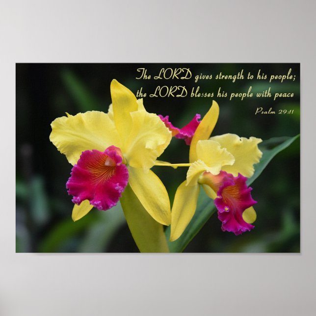 Psalm 29:11 Christliche Bibelverse-Schrift Poster (Vorne)