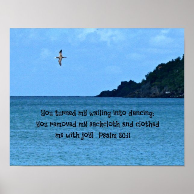 Psalm 30:11 poster (Vorne)