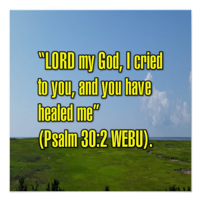 Psalm 30:2 WEBU Poster (Vorderseite)