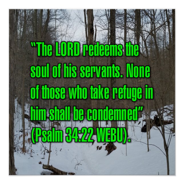 Psalm 34:22 WEBU Poster (Vorderseite)