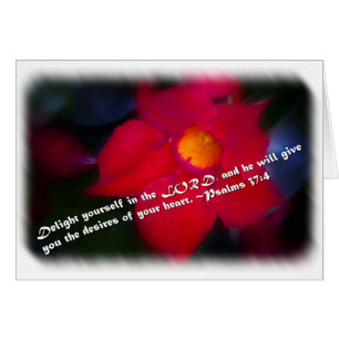 Psalm 37:4 auf Weiß