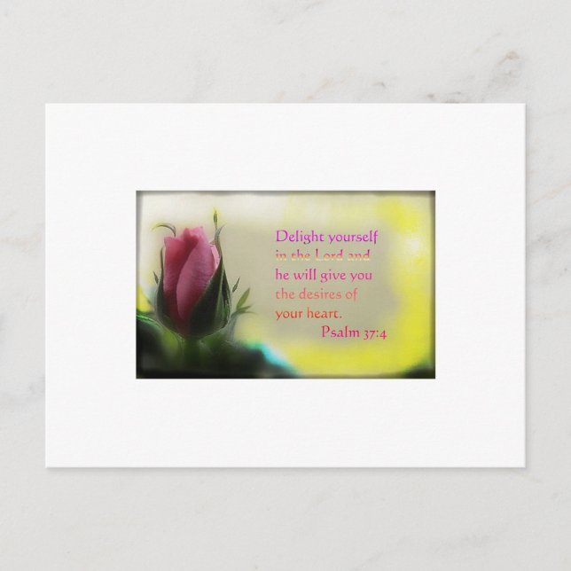 Psalm 37:4 postkarte (Vorderseite)