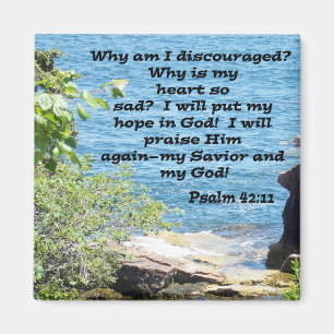 Psalm 42:11 magnet