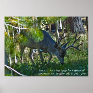 Psalm 42:1 Poster