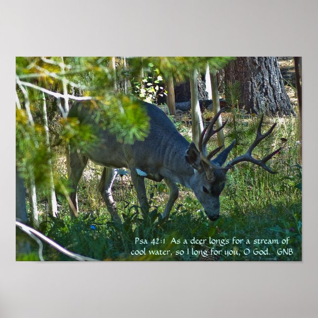 Psalm 42:1 Poster (Vorne)