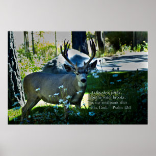 Psalm 42:1 und Hirsch Poster
