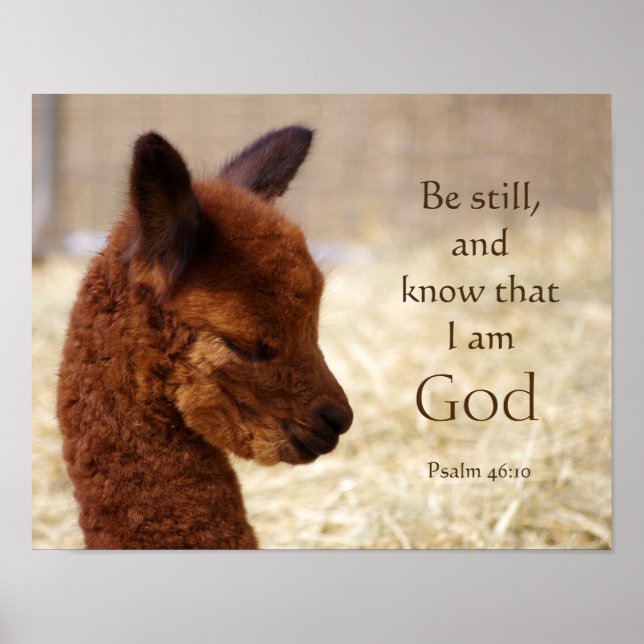 Psalm 46:10 Alpaca-Poster Poster (Vorne)