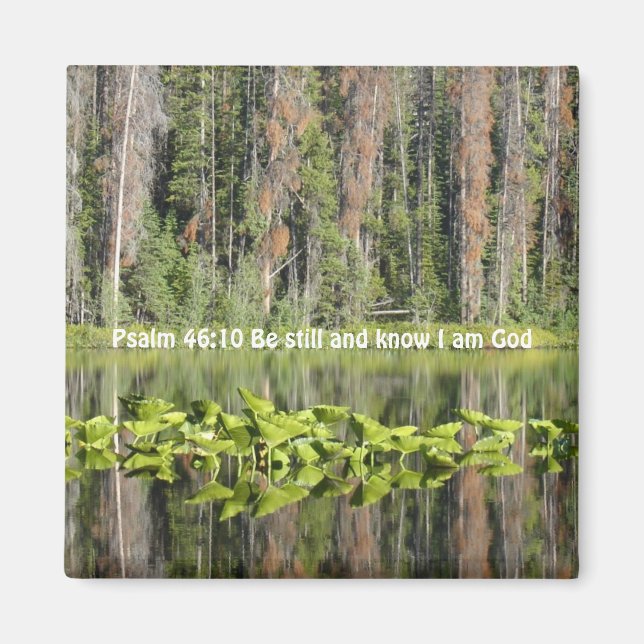 Psalm 46:10 Be Still and Know I am God, Lake Peace Magnet (Vorne)