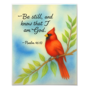 Psalm 46:10 Sei Still Roter Kardinal Schrift Natur Fotodruck