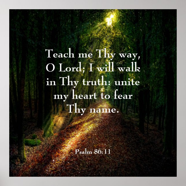 Psalm 86:11 poster (Vorne)