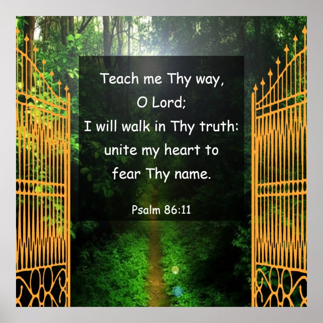 Psalm 86:11 poster (Vorne)