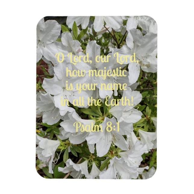 Psalm 8:1 O Herr, unser Herr, wie majestätisch ist Magnet (Vertikal)