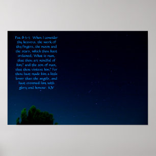 Psalm 8:3-5 Poster