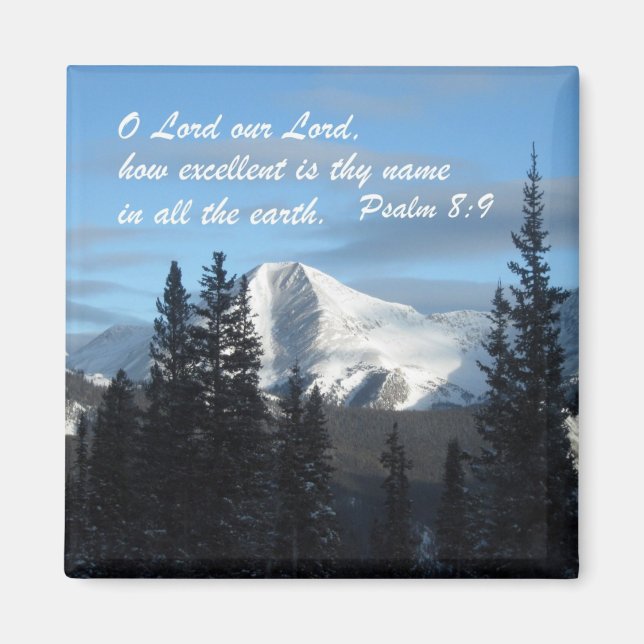 Psalm 8:9 magnet (Vorne)