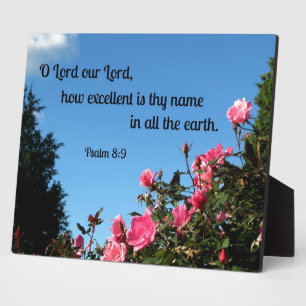 Psalm 8:9 O Herr, unser Herr, wie hervorragend ist Fotoplatte