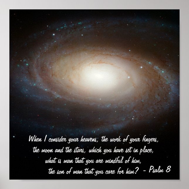 Psalm 8 poster (Vorne)
