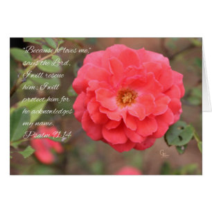 Psalm 91:14 Pachy Pink Rose Card