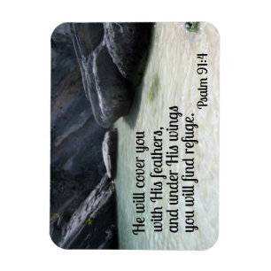 Psalm 91:4 Er wird dich mit seinen Federn bedecken Magnet