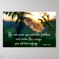 Psalm 91:4 Er wird dich mit Seinen Federn bedecken